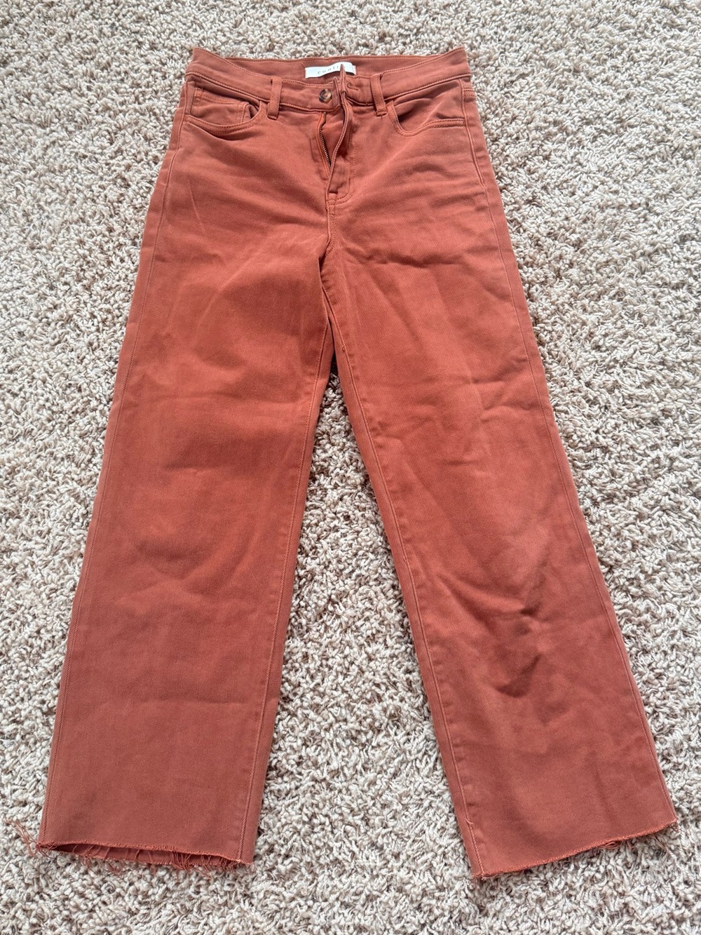 eunina Wide-Leg Jeans in Rust Orange